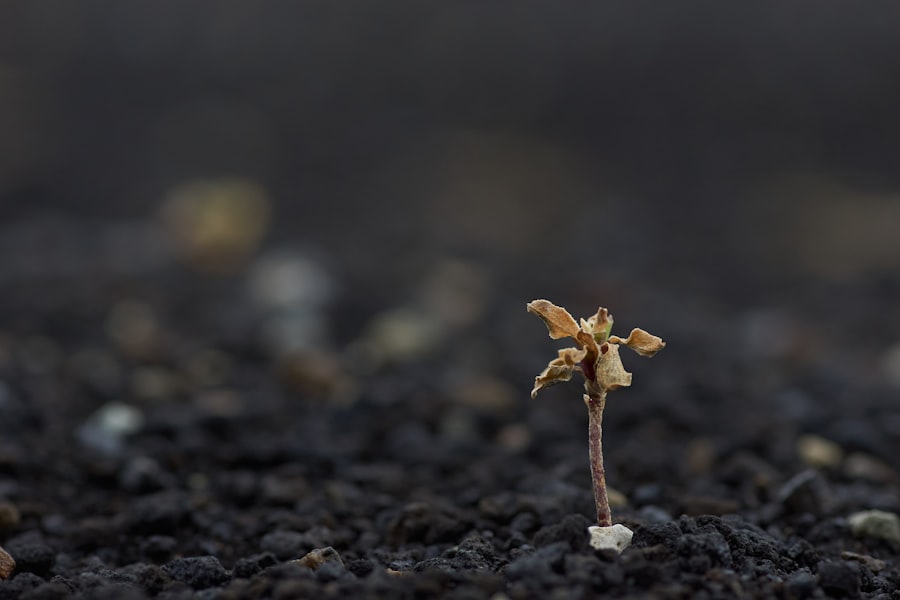 ansoff growth matrix