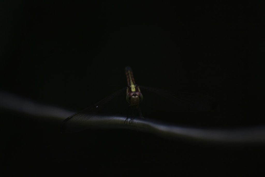 Photo space station tracking