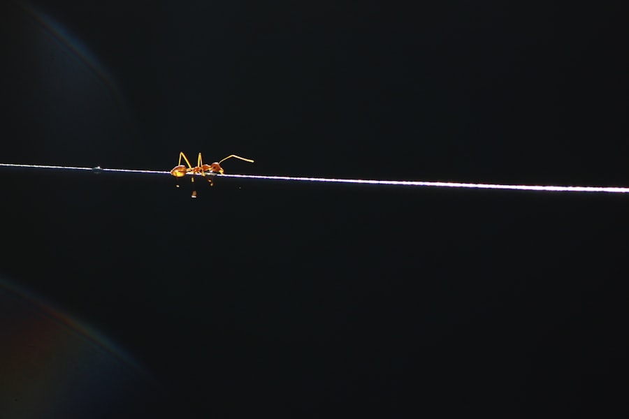 Photo space station tracking