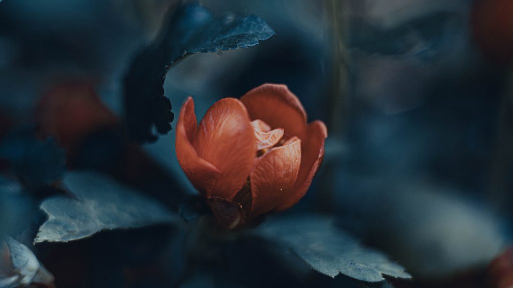 The First Woman in Space: Valentina Tereshkova's Historic Journey Photo valentina tereshkova