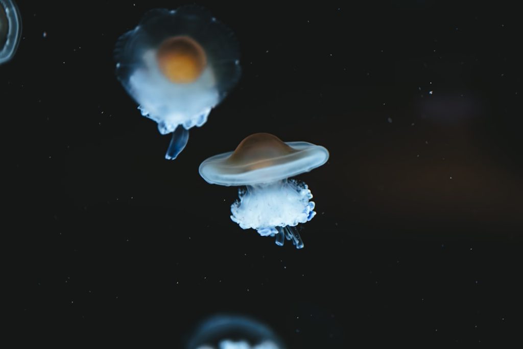 Photo solar system photo