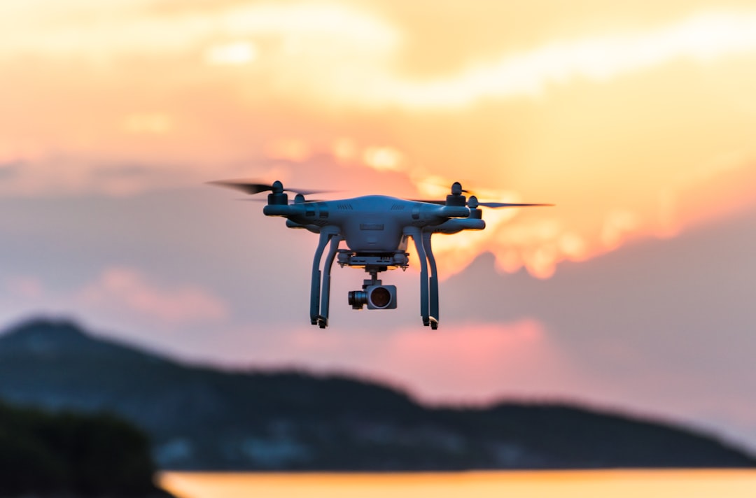 Anka, Tai, and Drone: The Future of Aerial Technology